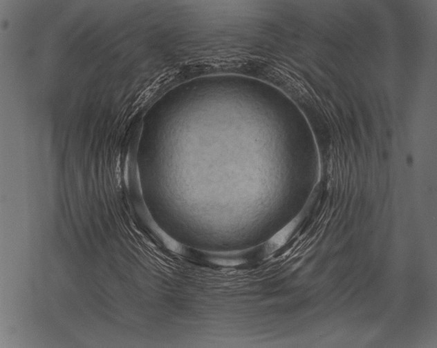 X0000077991298200611031410