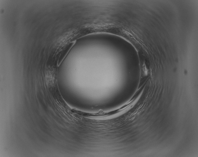 X0000077991300200611031410