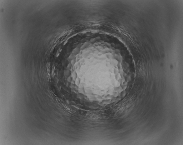 X0000077991301200611031410