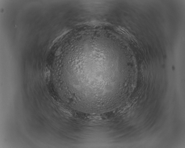 X0000077991302200611031410