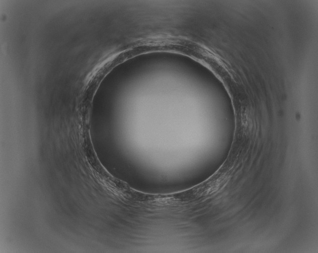 X0000077991304200611031410