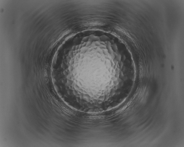 X0000077991305200611031410