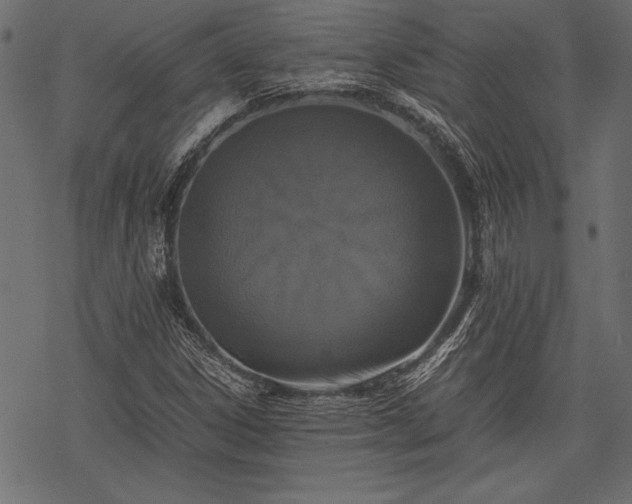 X0000077991306200611031410