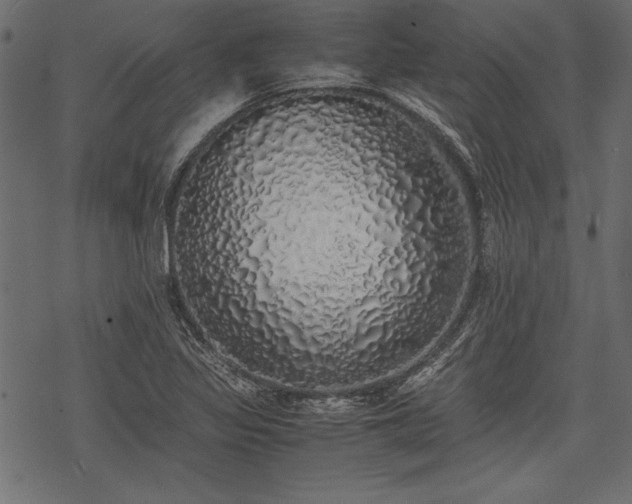 X0000077991317200611031410