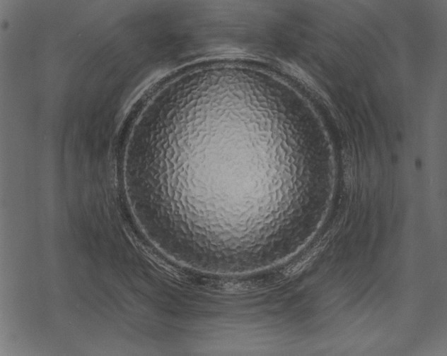 X0000077991318200611031410