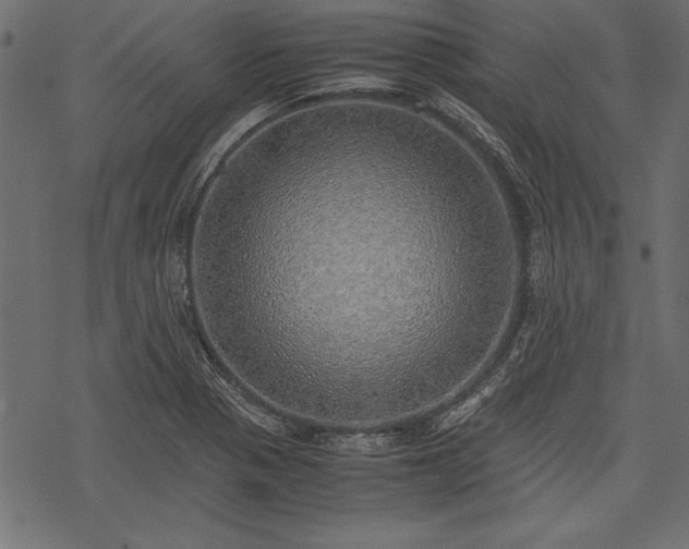 X0000077991321200611031410
