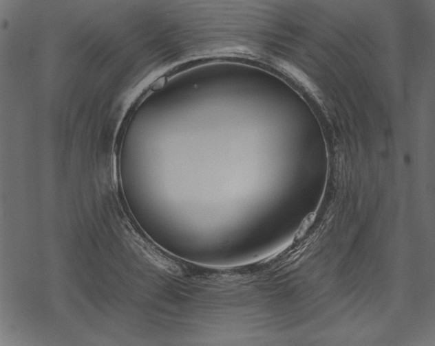 X0000077991324200611031411