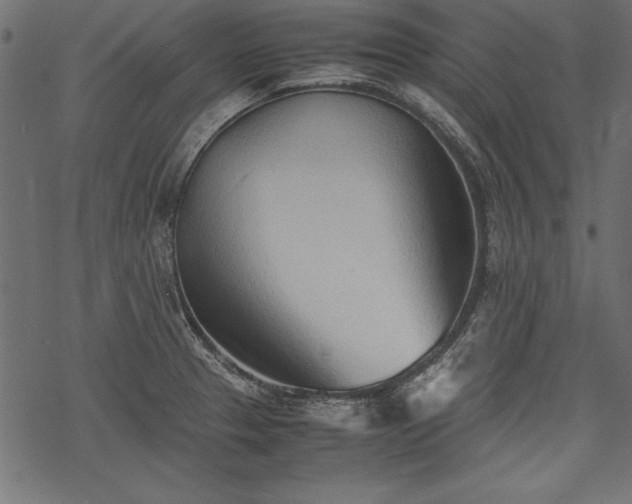 X0000077991329200611031411