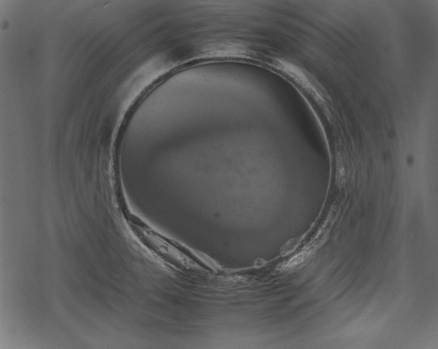 X0000077991331200611031411