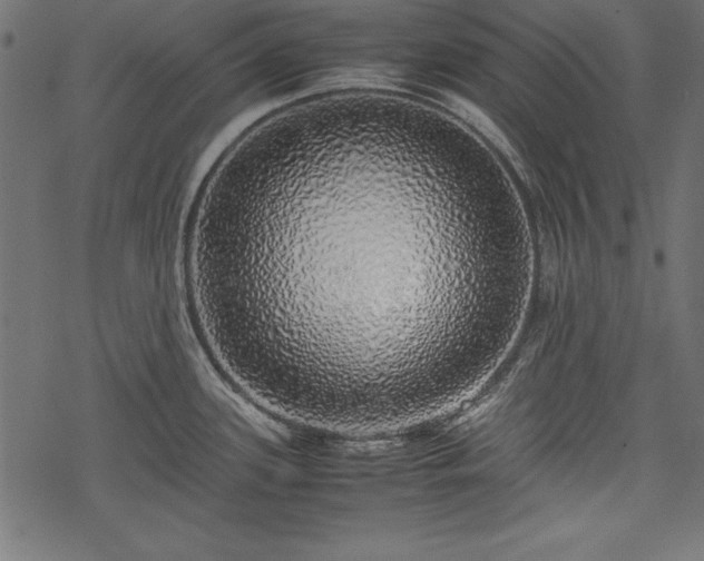 X0000077991339200611031411