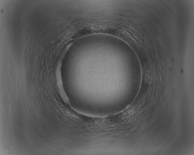 X0000077991345200611031410