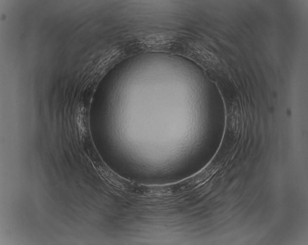 X0000077991346200611031410