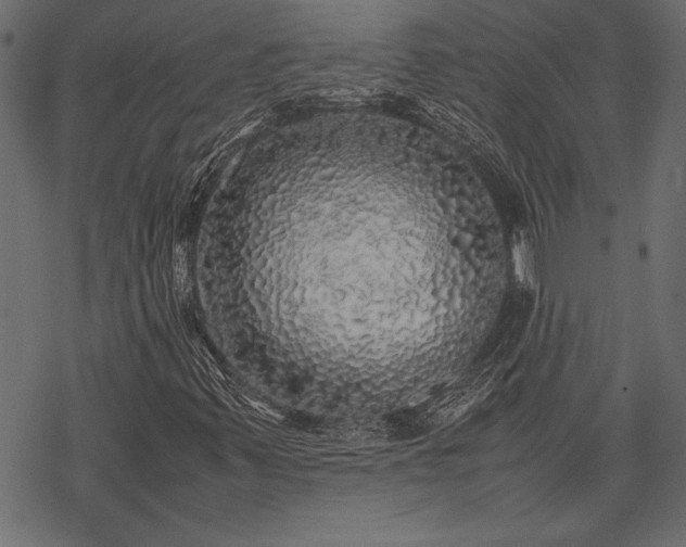 X0000077991347200611031410