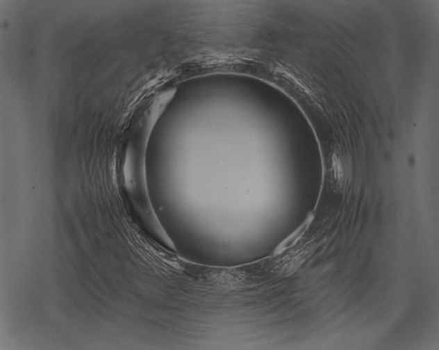 X0000077991348200611031410