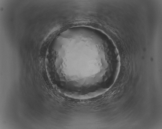 X0000077991351200611031410