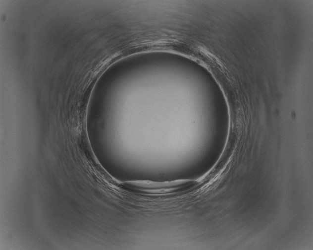 X0000077991353200611031410