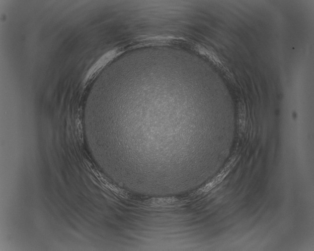 X0000077991354200611031410
