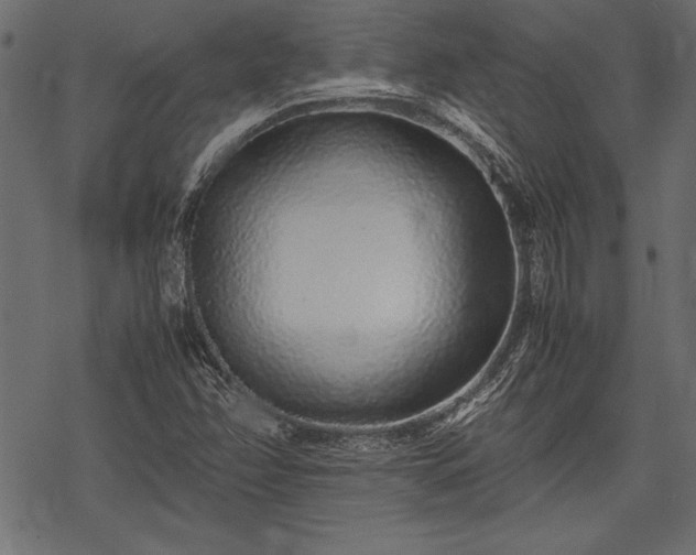 X0000077991358200611031410