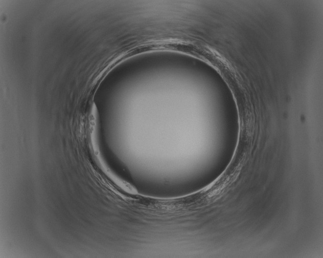 X0000077991361200611031410