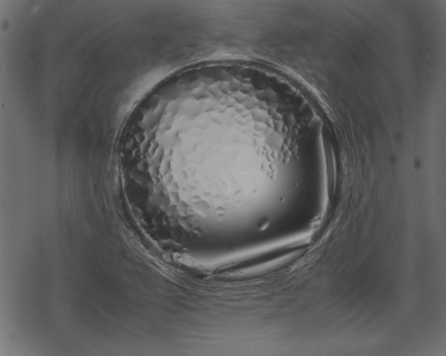 X0000077991367200611031410