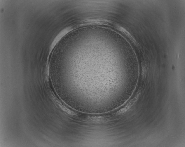 X0000077991370200611031410