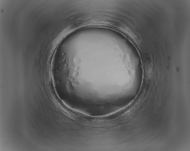 X0000077991371200611031410