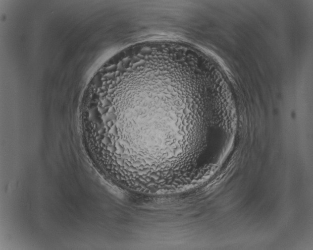 X0000077991375200611031410