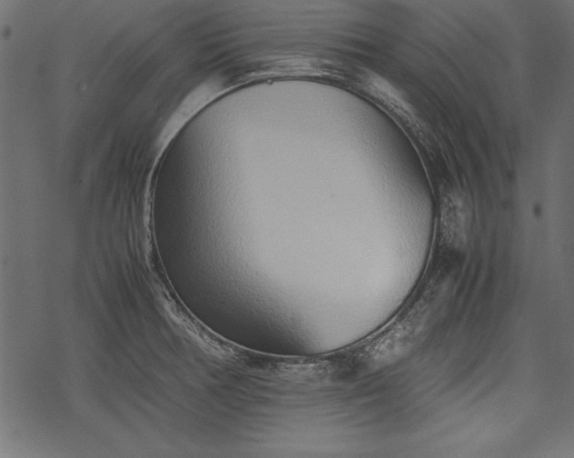 X0000077991378200611031410