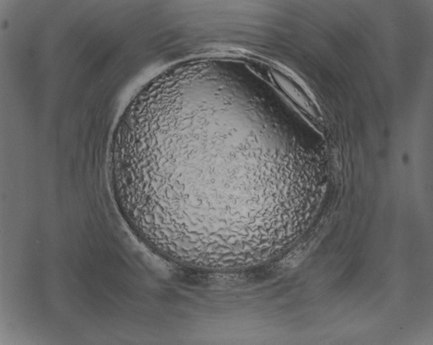 X0000077991379200611031410