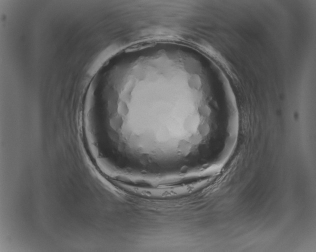 X0000077991383200611031409