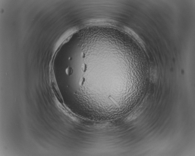 X0000077991386200611031409