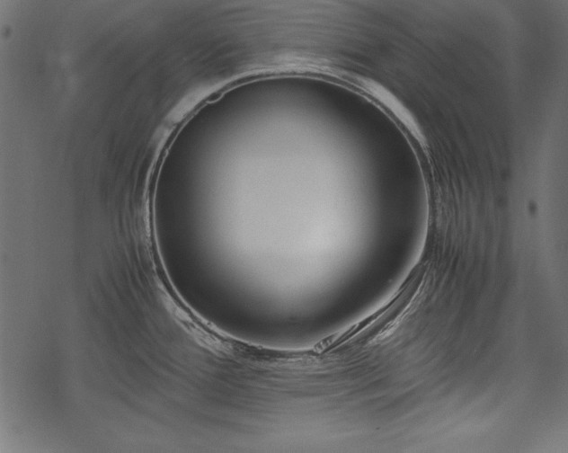 X0000077991388200611031409