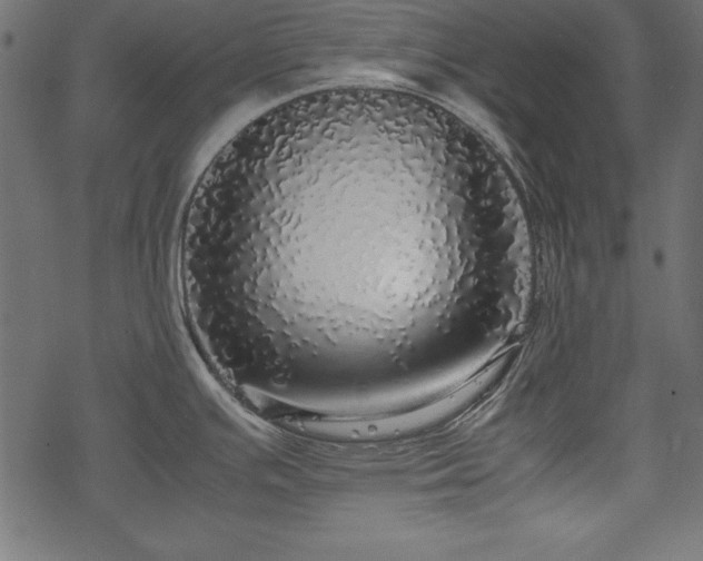 X0000077991391200611031409