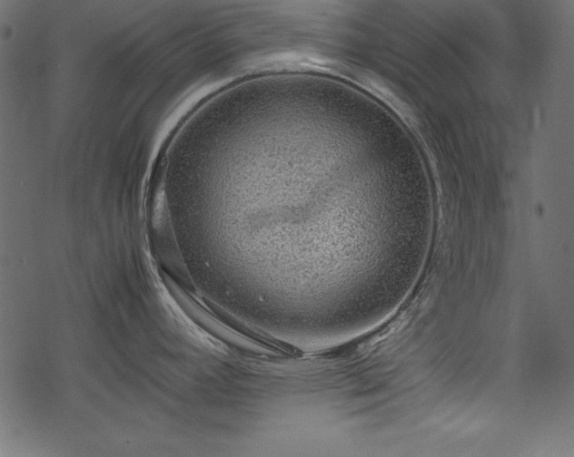 X0000077991392200611031409