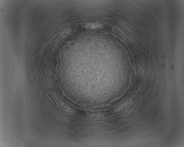 X0000077991393200611031409