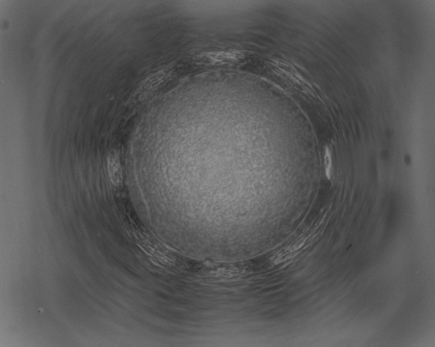 X0000077991395200611031409