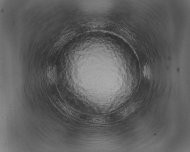 X0000077991396200611031409