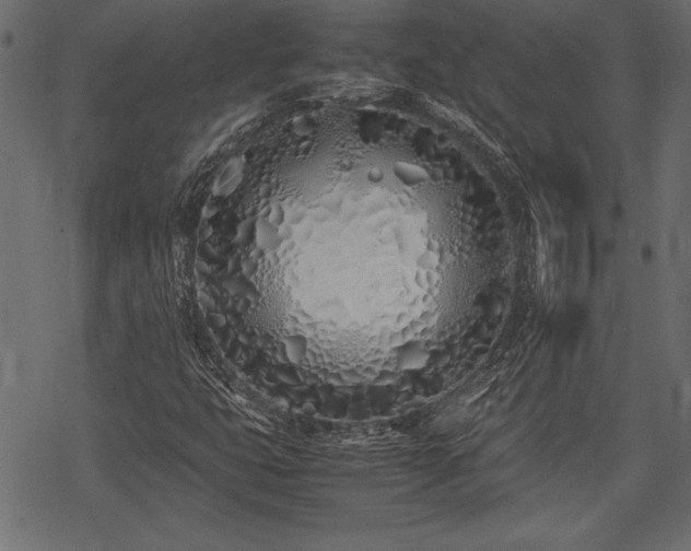 X0000077991399200611031409