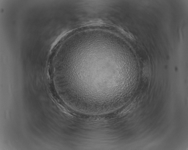 X0000077991400200611031409