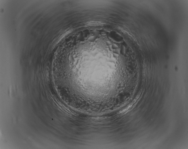 X0000077991401200611031409