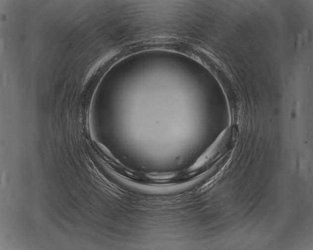 X0000077991402200611031409