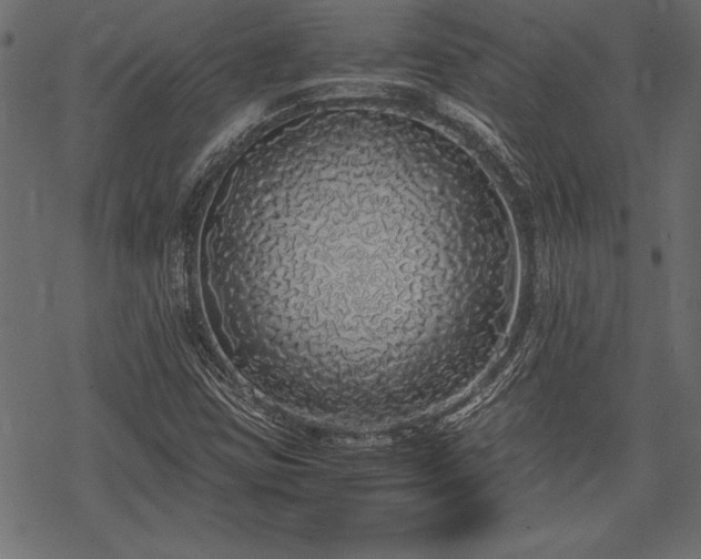 X0000077991403200611031409