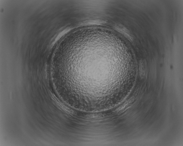 X0000077991404200611031409
