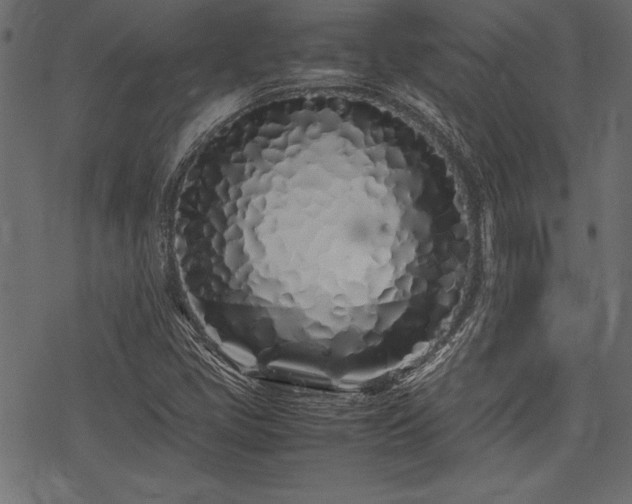 X0000077991405200611031409