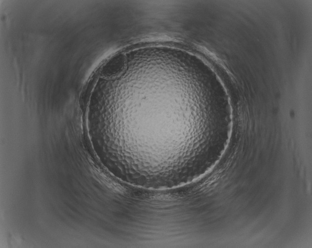 X0000077991408200611031409