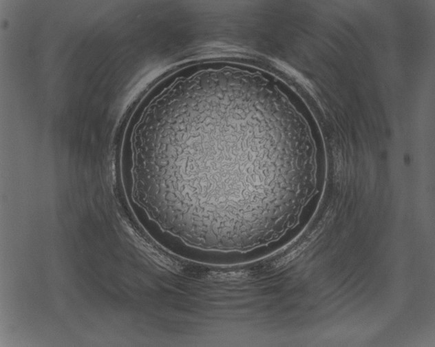 X0000077991415200611031409