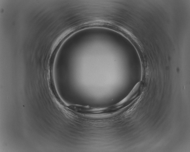 X0000077991418200611031409