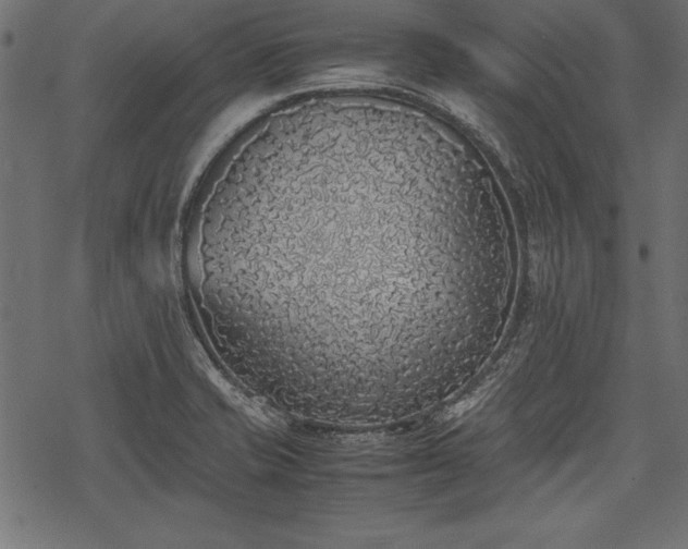 X0000077991421200611031409
