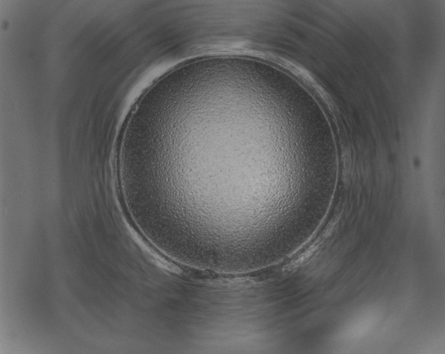 X0000077991432200611031409