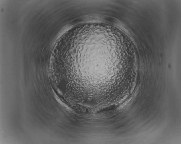 X0000077991433200611031409